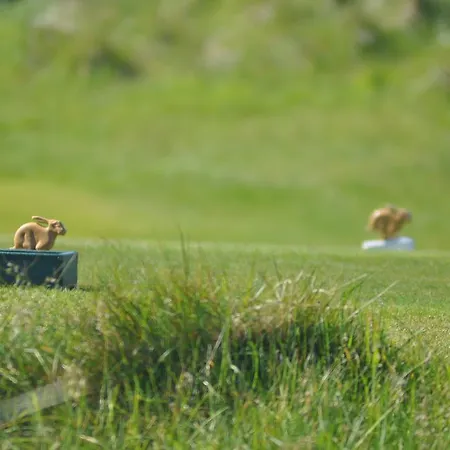 Quinlan & Cooke Boutique Townhouse And Qcs Seafood Restaurant