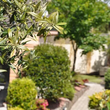 Quinlan&cooke Boutique Townhouse&qcs Seafood Restaurant Hotel Cahersiveen