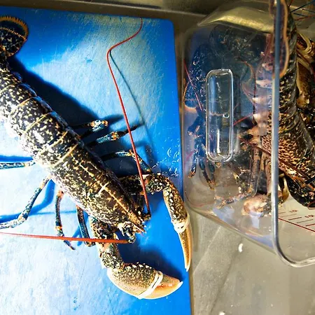 Hotel Quinlan & Cooke Boutique Townhouse And Qcs Seafood Restaurant Cahersiveen