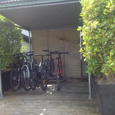 Hotell Quinlan & Cooke Boutique Townhouse And Qcs Seafood Restaurant Cahersiveen