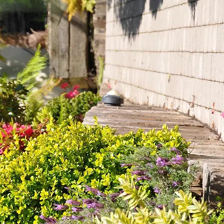 Quinlan & Cooke Boutique Townhouse And Qcs Seafood Restaurant 4* Cahersiveen