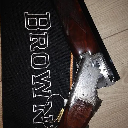 Quinlan & Cooke Boutique Townhouse And Qcs Seafood Restaurant Cahersiveen