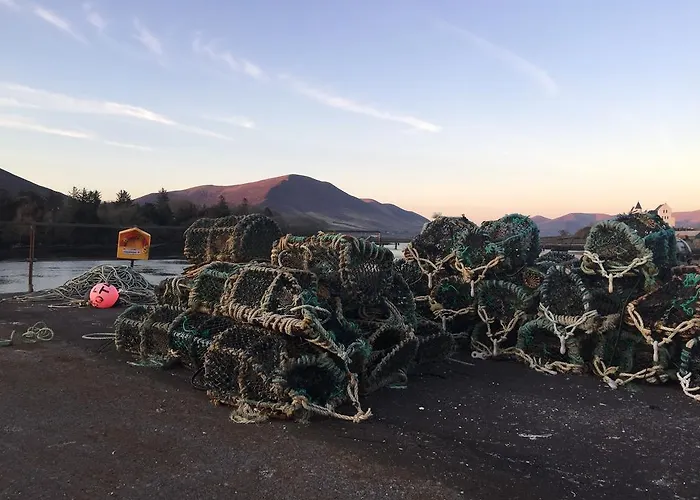 Quinlan & Cooke Boutique Townhouse And Qcs Seafood Restaurant Otel Cahersiveen