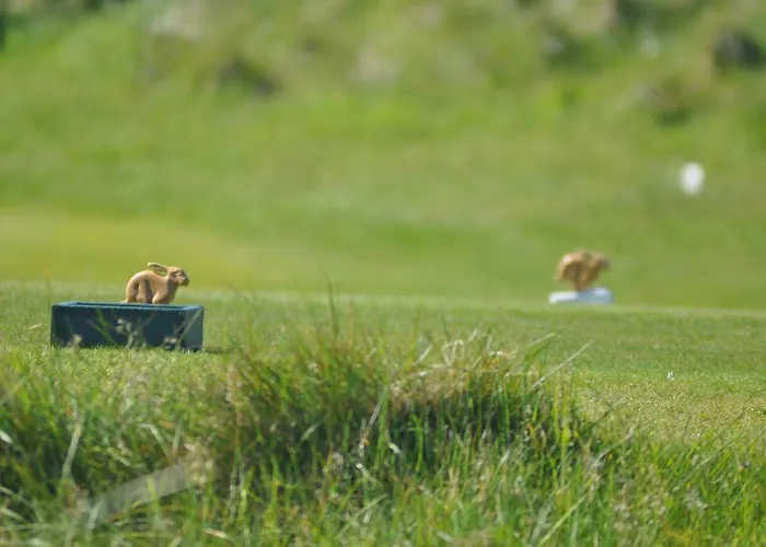 Quinlan & Cooke Boutique Townhouse And Qcs Seafood Restaurant