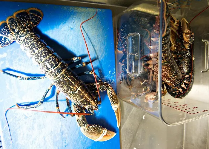 Otel Quinlan & Cooke Boutique Townhouse And Qcs Seafood Restaurant Cahersiveen