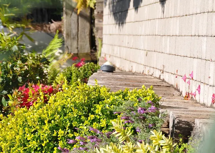 Quinlan & Cooke Boutique Townhouse And Qcs Seafood Restaurant 4* Cahersiveen